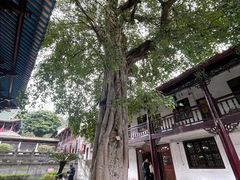 -南华禅寺