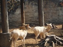 -杭州野生动物世界