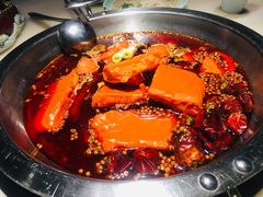 -孙毛肚火锅(春熙路店)