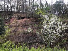 -镇龙山国家森林公园