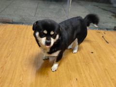 -好运来农家菜(吉林路店)