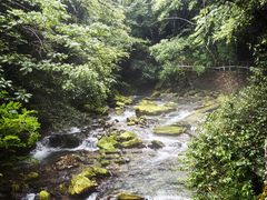 -神农架景区