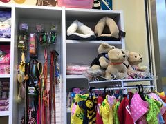 -米苏动物医院·犬猫专科·骨科外科内窥镜
