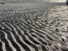 -奉贤海滩
