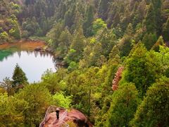 -玉苍山国家森林公园