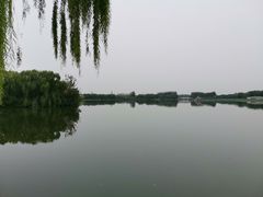 -大兴滨河森林公园