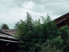 -田德能咖啡博物馆