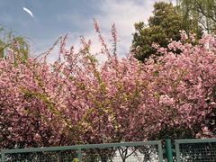 -阳澄湖半岛旅游度假区