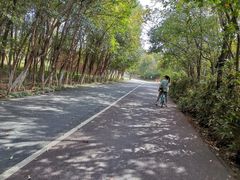 -艾溪湖湿地公园