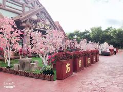 -株洲方特欢乐世界