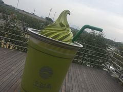 -雪绿茶博物馆