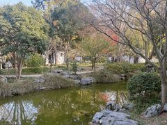 -秋霞圃