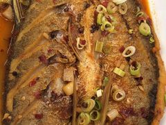 -老味道1992(武当山店)