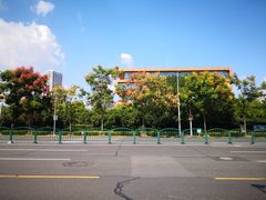 -双季花艺园艺市场(浦东店)