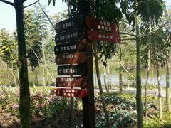 -丹樱生态园