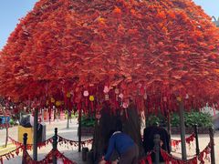 -郑州方特梦幻王国