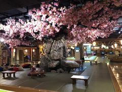 -青水瓦台汤泉(新华店)