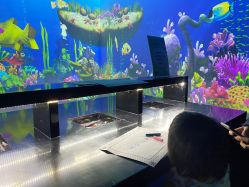 -酷嗒动物文化乐园(cutezoo西溪乐天城店)