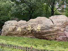 -上海交通大学医学院附属仁济医院东院·停车场