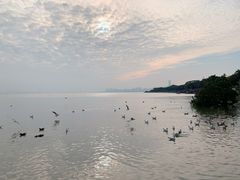 -深圳湾公园(南山区)