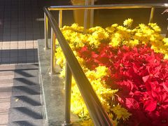 -广州市红十字会医院(总院)