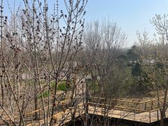 -东郊湿地公园
