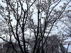 -龙美术馆(西岸馆)