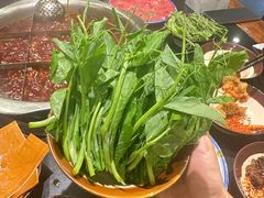 -古木枫老火锅(洪崖洞店)