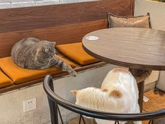 -B.O.M波姆烘焙(凤凰街店)