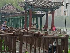 -莲花池公园