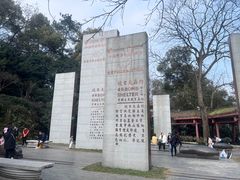 -南山植物园