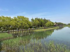 -苏州太湖湖滨国家湿地公园