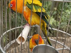 -南宫五洲植物乐园