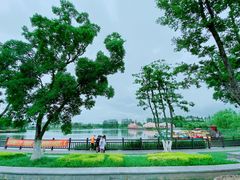 -上海长兴岛郊野公园