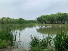 -东郊湿地公园