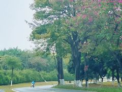 -松山湖风景区松湖烟雨