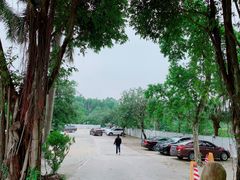 -凤阁楼果木烧鹅(鹤山陈山店)