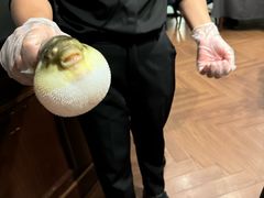-肆月河豚·新淮扬(金融街店)