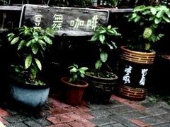 -豆舞咖啡(民乐路店)