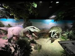 -国家自然博物馆