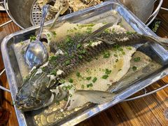 盐油蒸山坑鲩-飞尝蚝·顺德菜·鱼生(顺德总店)