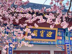 -桃花堤公园