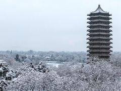 -博雅塔