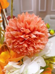 -Bollins波林丝•专研护发中心