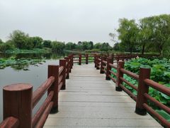 -长兴太湖图影湿地文化园