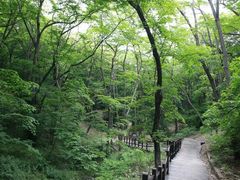 -皇藏峪国家森林公园