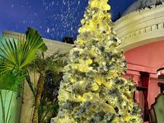 -弦月窗LUNETTE BY AMANDA(复兴路店)