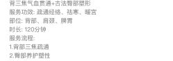 -香榭丽舍·海菲秀·皮肤管理痘敏肌修护