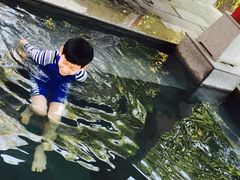 -天目湖御水温泉·度假酒店