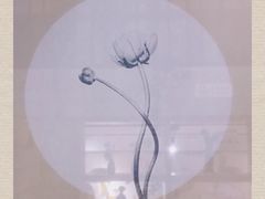 大堂-川味堂·四川豆花(八卦岭店)